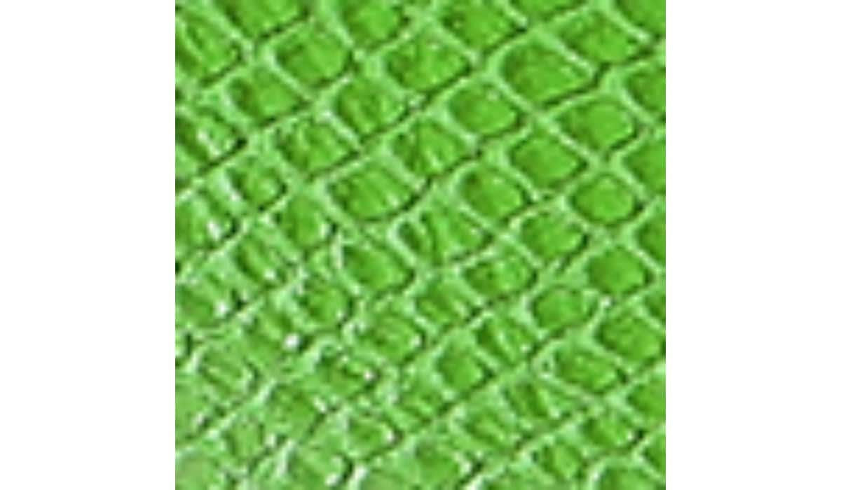 Franco Barb Platform Slide Sandal - Green Apple Faux Leather