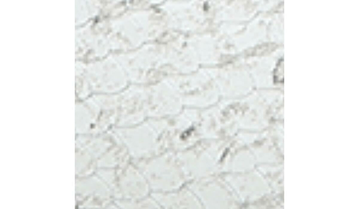 Franco Hadden Loafer - Natural Snake Print Leather
