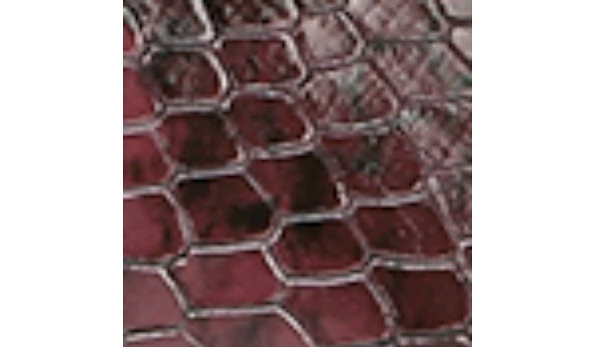 Franco Global 2 Pump - Burgundy