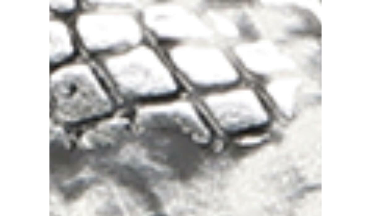 Franco Ailee Flat - Silver Snake Metallic
