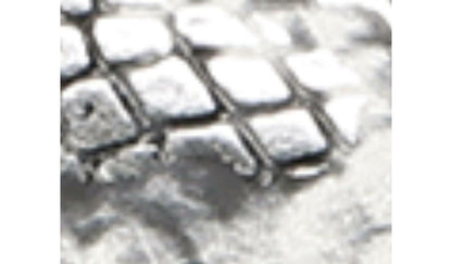 Franco Ailee Flat - Silver Snake Metallic
