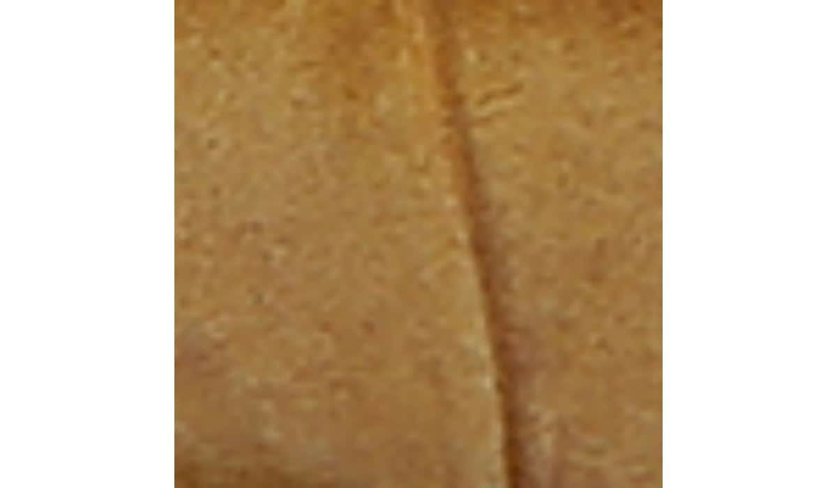 Sarto Toby D'Orsay Flat - Camel Leather