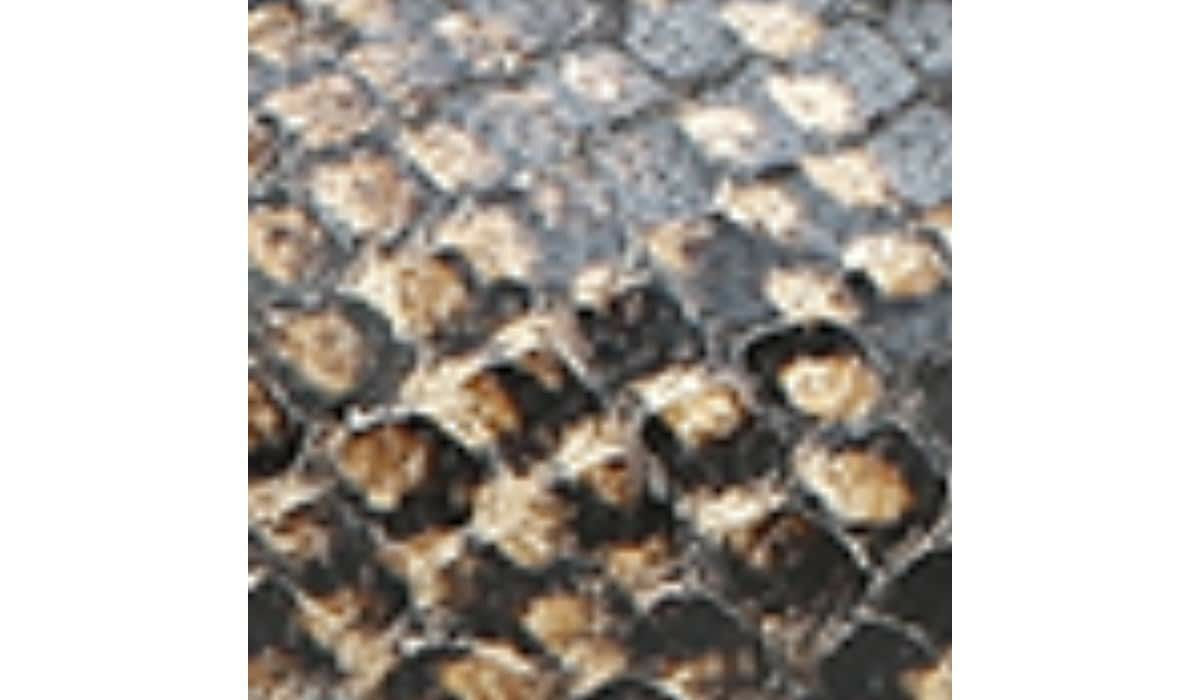 Sarto Parma 2 Flat - Beige Snake Print Leather