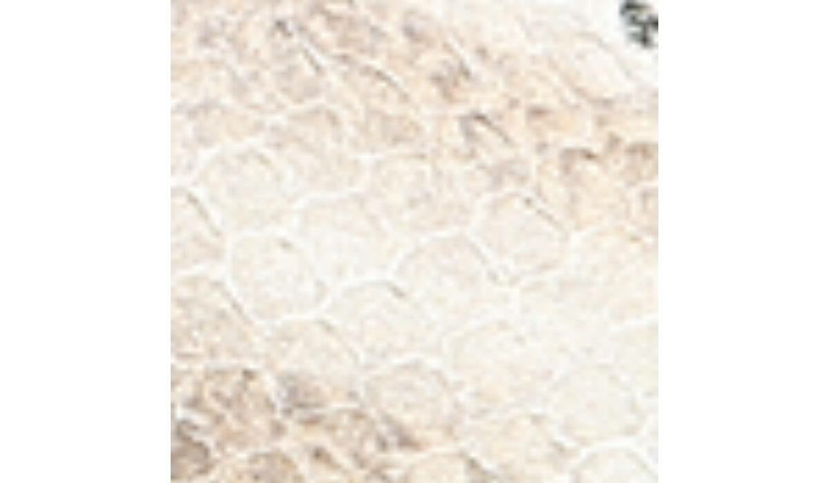 Sarto Lexie Espadrille Platform Sandal - Dusty Rose Snake Leather