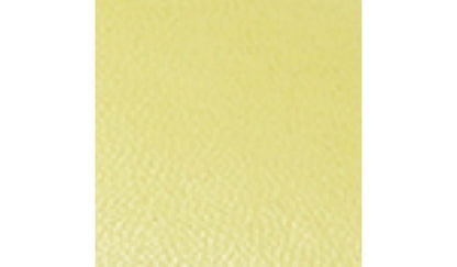 Sarto Zoe Slide Sandal - Limeade Leather